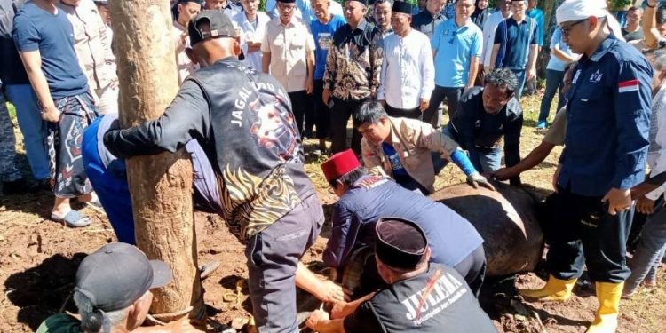 DPD LDII Kabupaten Serang menghadiri kegiatan pemotongan 1.000 domba. Foto: LINES.