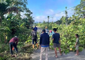 LDII Arso Barat Gotong Royong Bersihkan Jalan Penghubung Dua Kampung