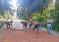 LDII dan Warga Singkut Gotong Royong Perbaiki Jalan Rusak
