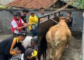 Kurban Warga LDII Pemalang Tembus Rp3,56 Miliar, Tabungan Kurban Jadi Kunci Peningkatan Partisipasi
