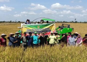 LDII Bataguh Kapuas Panen Padi dengan Intensifikasi Tani Dukung Ketahanan Pangan