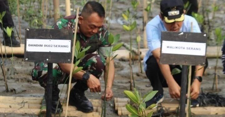 LDII Kramatwatu mendukung aksi penanaman 2.000 pohon mangrove yang digelar Kodim 0602/Serang bersama Pemkot. Foto: LINES.