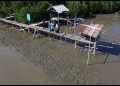 LDII Sulsel Jaga Pesisir dengan Tanam Mangrove di Lantebung