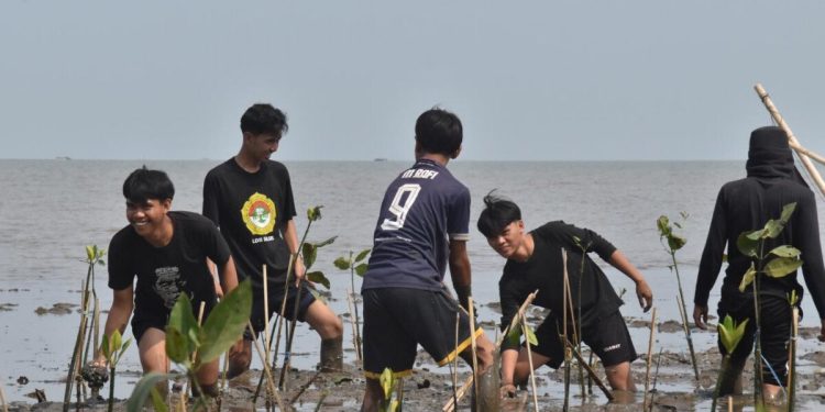 DPW LDII Sulawesi Selatan menanam lebih dari 1.000 bibit mangrove untuk mendukung pelestarian ekosistem pesisir Lantebung, Makassar, Sulawesi Selatan. Foto: LINES